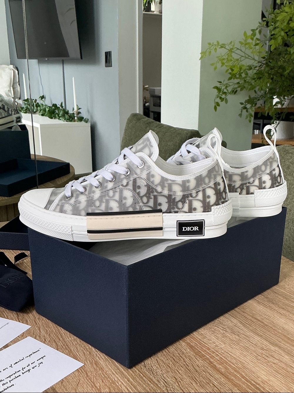 Dior Low-Top Sneakers in White and Gray Monogram